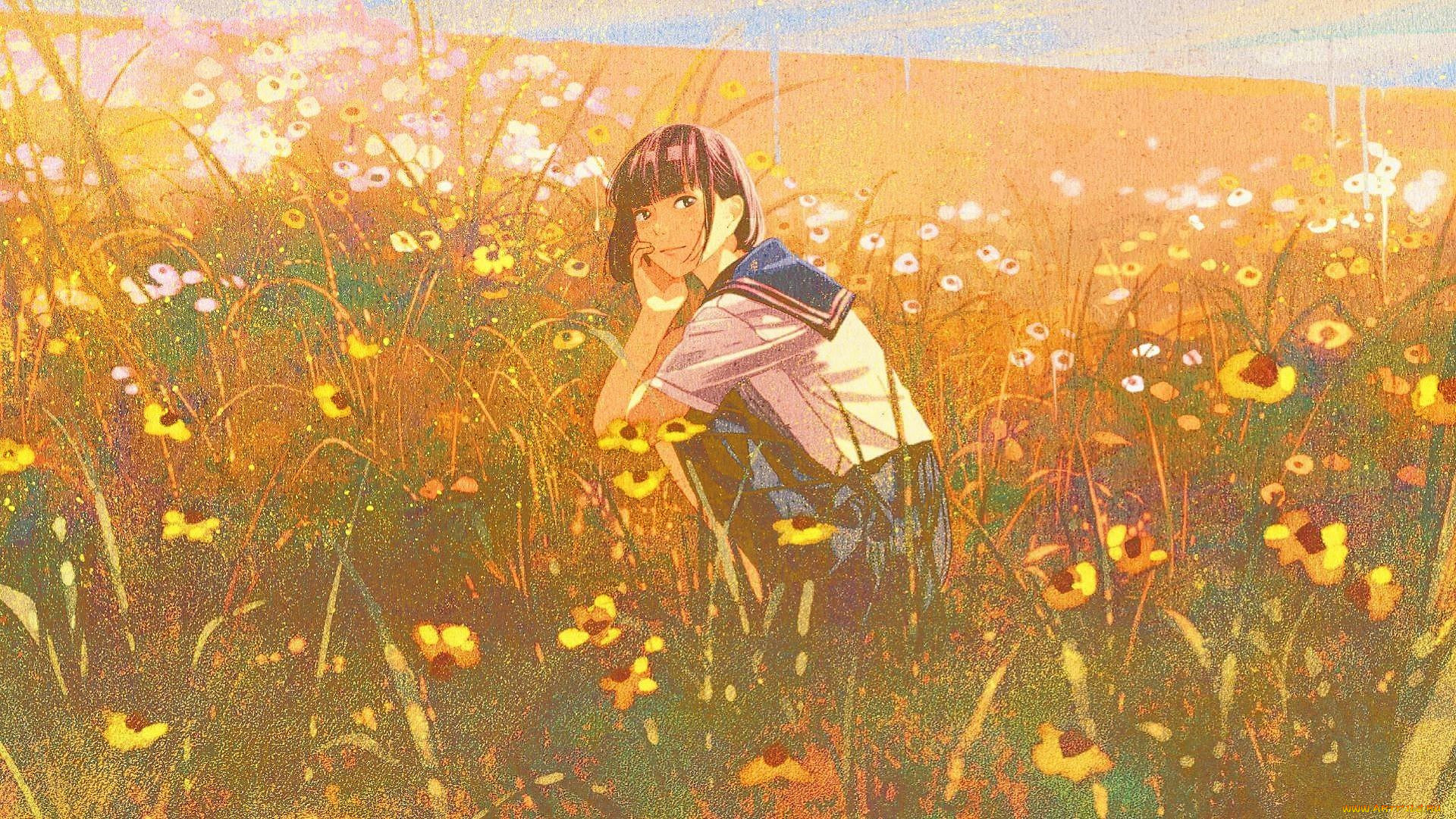 , ,  , , 